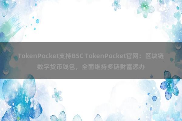 TokenPocket支持BSC TokenPocket官网：区块链数字货币钱包，全面维持多链财富惩办