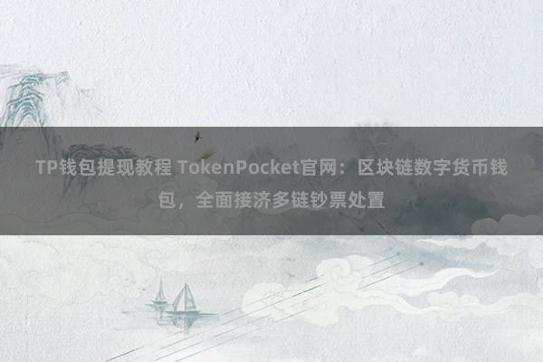 TP钱包提现教程 TokenPocket官网：区块链数字货币钱包，全面接济多链钞票处置