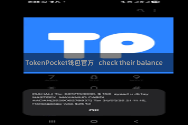 TokenPocket钱包官方   check their balance